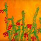 Prickly Blooms