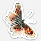 Original Art Stickers - butterflies & jelly fish