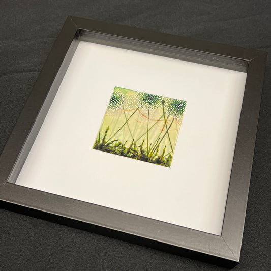 Beauty Beneath Archival Art Print, Framed